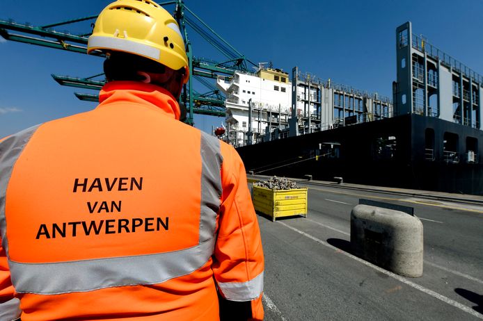 In de haven van Antwerpen werd woensdag nog 1.000 kilo cocaïne gevonden tussen bananen (Illustratiebeeld).