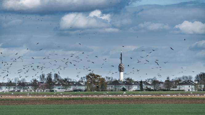 Roosendalers gefrustreerd over inspraak rond nieuwbouw ziekenhuis: ‘Weggezet als kleuters’