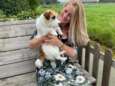 Nederlands hondje Puck gered na vergiftiging door té veel water drinken: “Let goed op je hond”