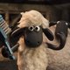 Meteen verliefd worden op de schaapjes in Shaun het schaap: de film