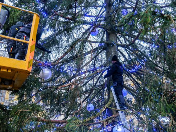 Gezien: 22 meter hoge kerstboom wordt versierd op Grote Markt