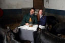 Maarten en Josephine Hamel in de Steenbergse varkensstal die zij hebben overgenomen om het vlees van deze dieren te promoten in hun restaurant 't Geheim van Bergen.
