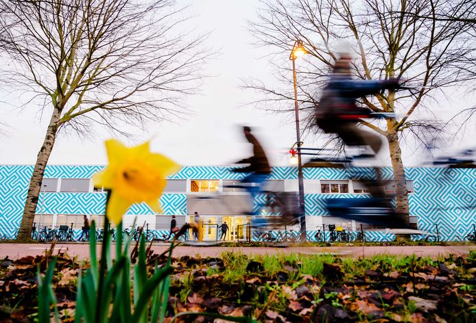 De spanningen binnen het bestuur van het Amsterdamse Cornelius Haga Lyceum lopen hoog op.