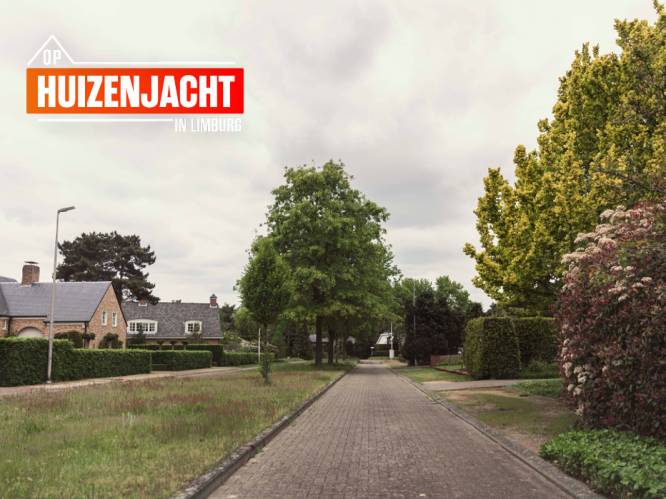 HUIZENJACHT. Lommel, waar natuurliefhebbers thuiskomen: “Vakantiewoning in het groen? Die heb je al voor 300.000 euro”