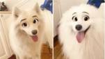 Nieuwe filter tovert je hond om tot een schattig Disney-figuur