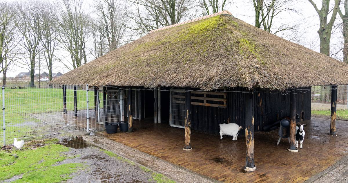 Buurt treurt om dierenpark zonder herten in Hardenberg (maar laat het er niet bij zitten)