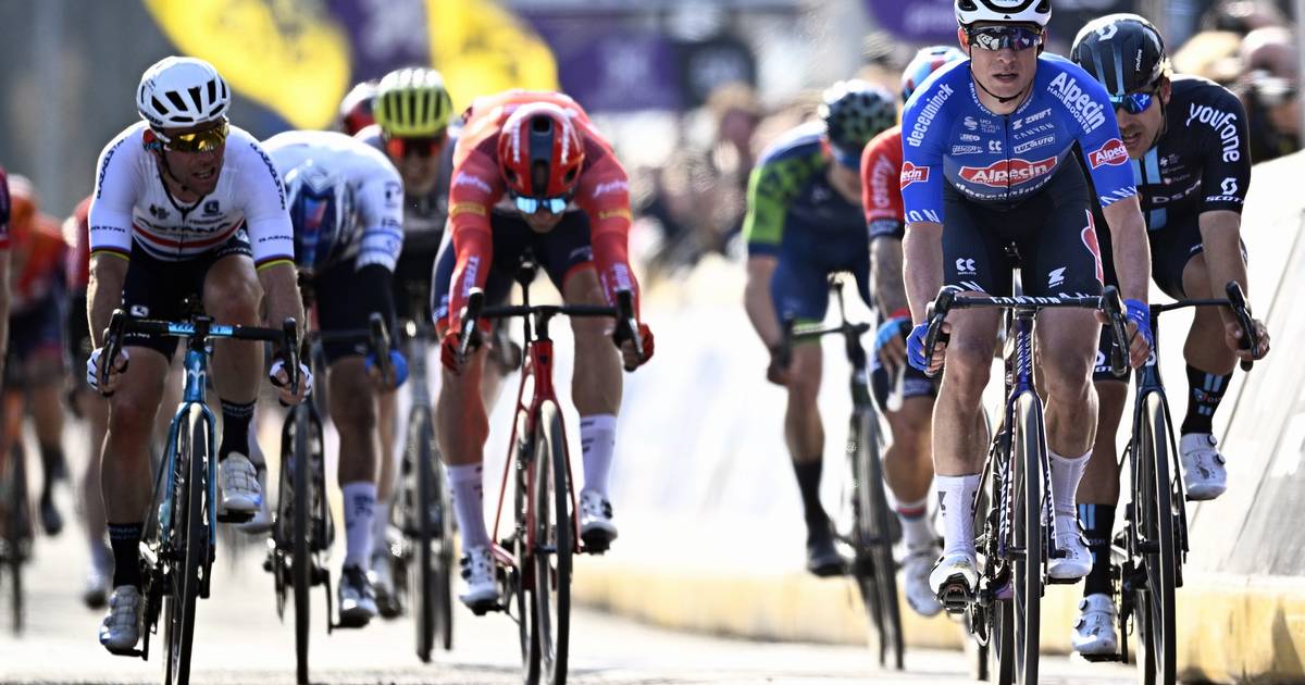Jasper Philipsen wins the Scheldeprijs |  Cycling