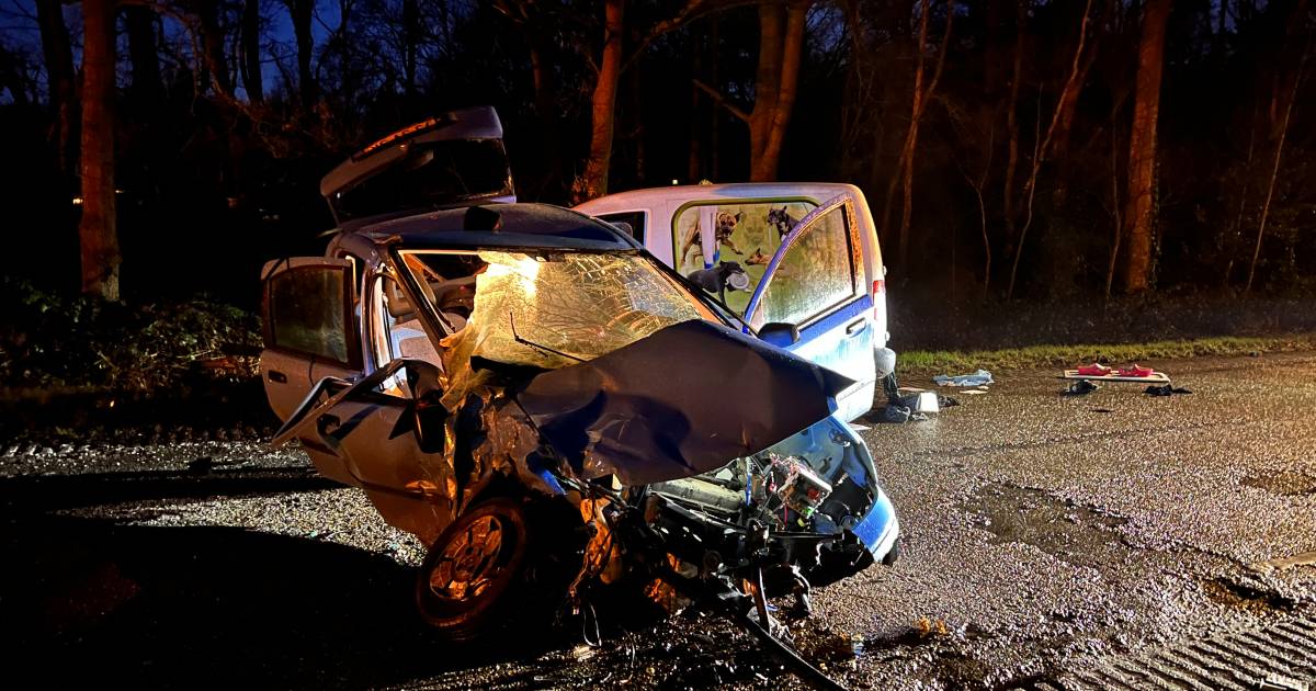 Heftig ongeluk in Ermelo: twee auto’s compleet in elkaar, vrouw naar het ziekenhuis, puppy ongedeerd.