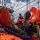 Totaalverbod op pulsvisserij dreigt, vissers op de Noordzee zetten zich schrap