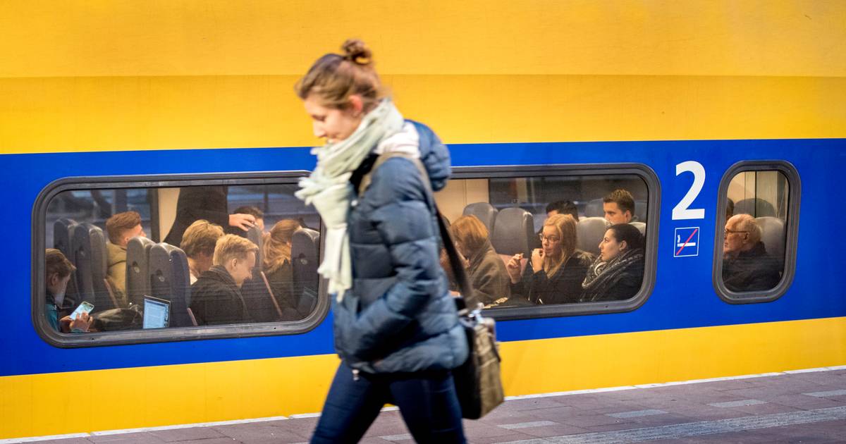 Geen treinen tussen Tilburg en Boxtel na aanrijding met dier.