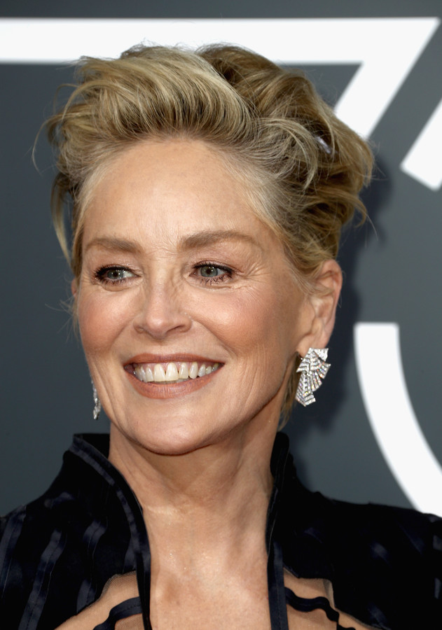 Sharon Stone start zaak tegen rapper om nummer ‘Sharon Stoned’ Foto