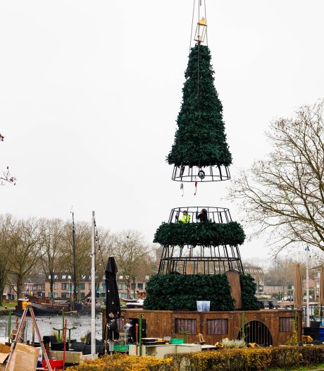 Piushaven stelt de ‘Kerst-reus’ vast op