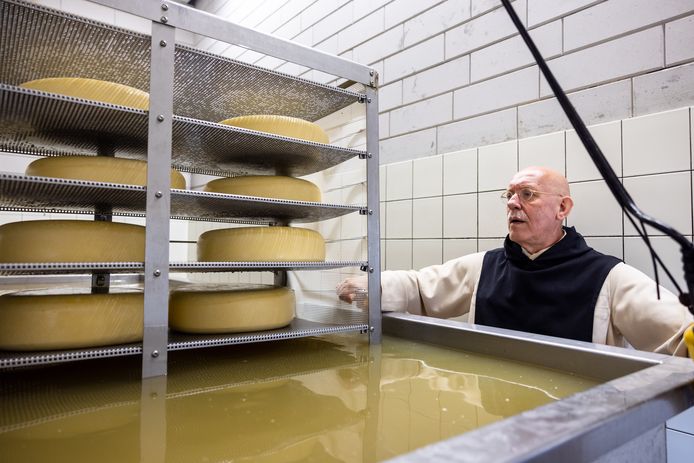 Kaaskoppen Gezocht In Het Klooster Ligt Nog 15 000 Kilo Te Wachten Tilburg Ed Nl