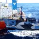 Sea Shepherd doet aangifte tegen Japans walvisschip