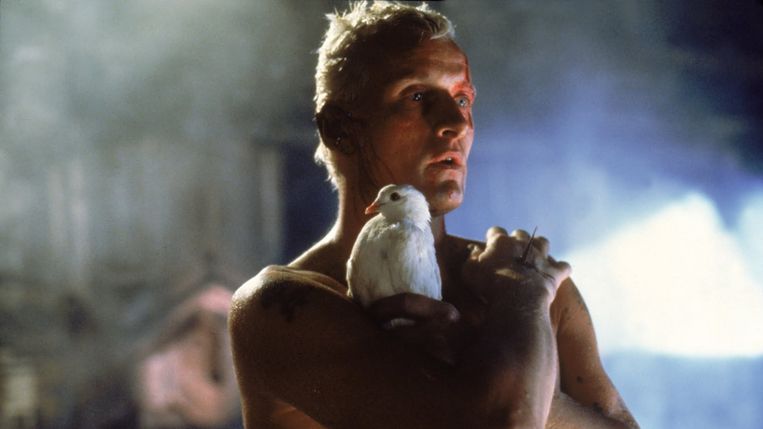 Rutger Hauer in ‘Blade Runner’ van Ridley Scott. Beeld 