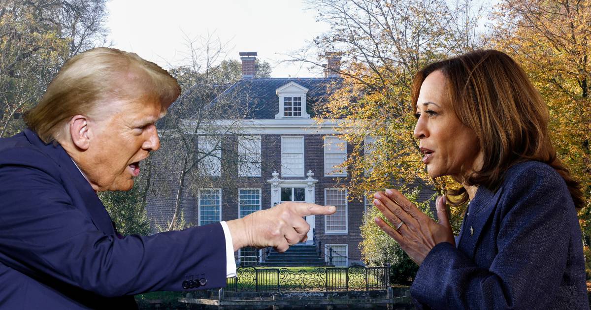 Steun voor Harris uit Nieuwersluis; zakenman geeft meesterwerk weg als Trump verkiezingen verliest