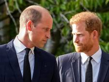 Harry règle ses comptes avec William: "C'était terrifiant de voir mon frère crier et hurler après moi”