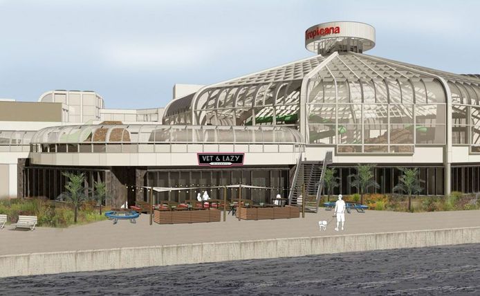 Beeld: De Bruyn Projekt & Interieurarchitektuur Studio