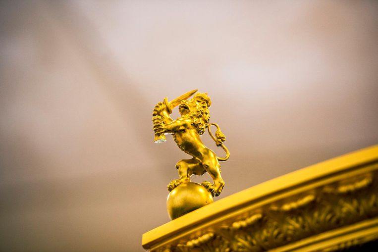 Op de vier hoeken van het dak staan leeuwtjes met getrokken zwaard. Zij beschermen de kroon Beeld Raymond Rutting
