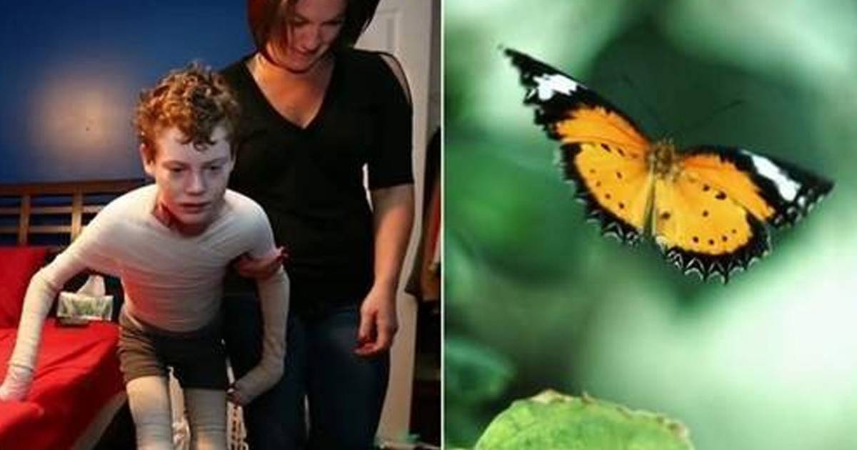 Nous Sommes Soeurs Aussi Fragiles Que Des Ailes De Papillon