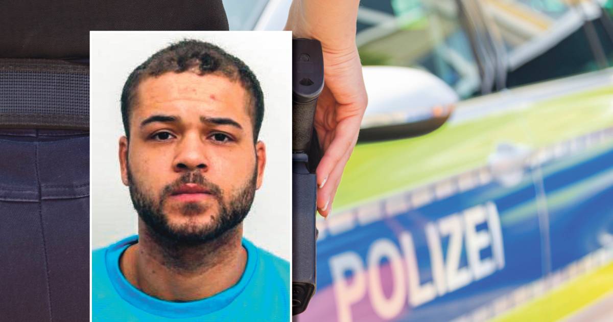 Deutsche Polizei sucht mit Hubschrauber nach Verdächtigem im Mordfall an Psychiater in Rotterdam |  Inländisch
