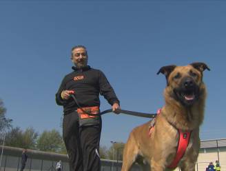 Gedetineerden in gevangenis van Hasselt krijgen asielhond met gedragsproblemen: “Die hond leert me weer zelfvertrouwen te krijgen”