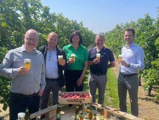Brouwerij stelt nieuw bier op basis van tripel en cider voor: “Verfrissende keuze voor warme zomeravonden”