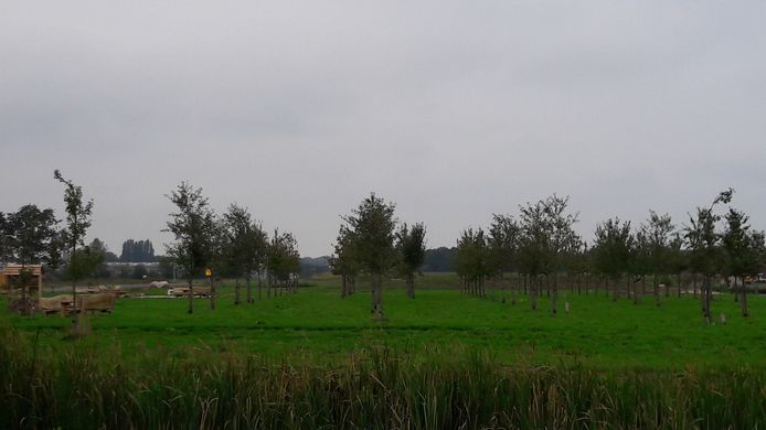 Op de achtergrond de buurtheuvel in Geerpark, waar het informatiecentrum is gepland.