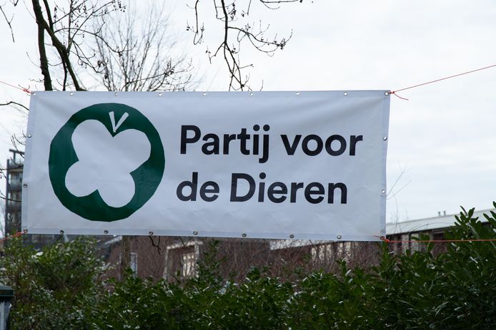 De Partij voor de Dieren doet in Zwolle voor het eerst mee aan de gemeenteraadsverkiezingen.
