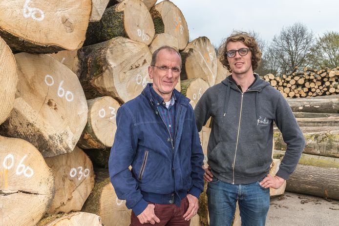 Theo Wolters (gemeente Zwolle) en Cor Wobma van Binthout tussen de gekapte essen die in 2018 door de gemeente bij de houtverwerker werden geleverd (foto uit 2018).