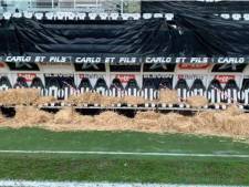 “Trop de chèvres, peu de Zèbres”, la pression monte au Sporting Charleroi