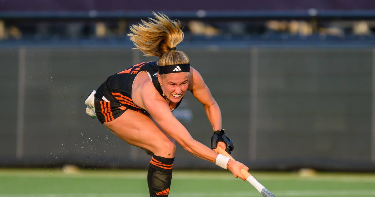 Dutch hockey players sweep the floor with USA |  Other Sports
