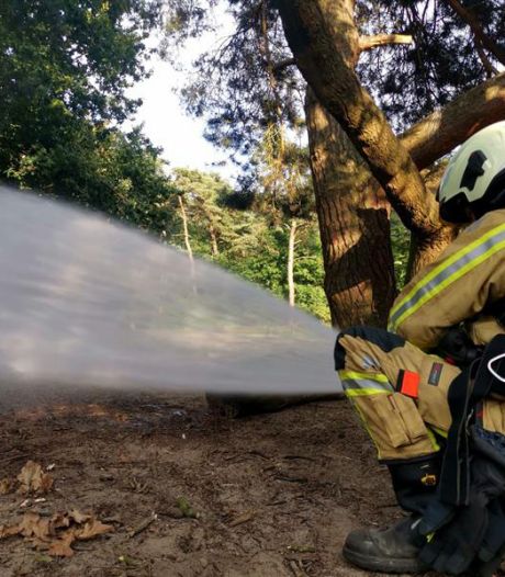 Brandweer geeft tips mee om brandrisico te verkleinen tijdens de hittegolf: “Barbecue liever niet, of voorzie een emmer water”
