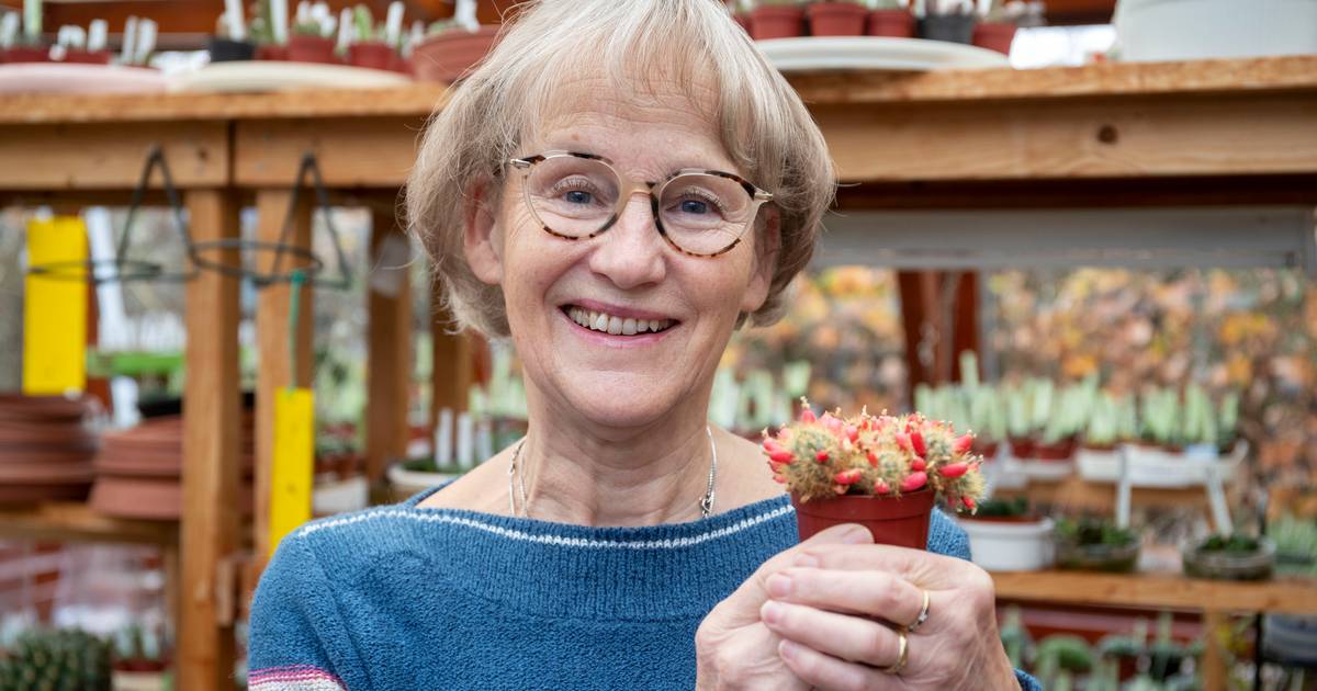 Annemieke begroet elke morgen haar cactussen en vetplanten: 'Mijn ouders leven voort in dit leuke pl
