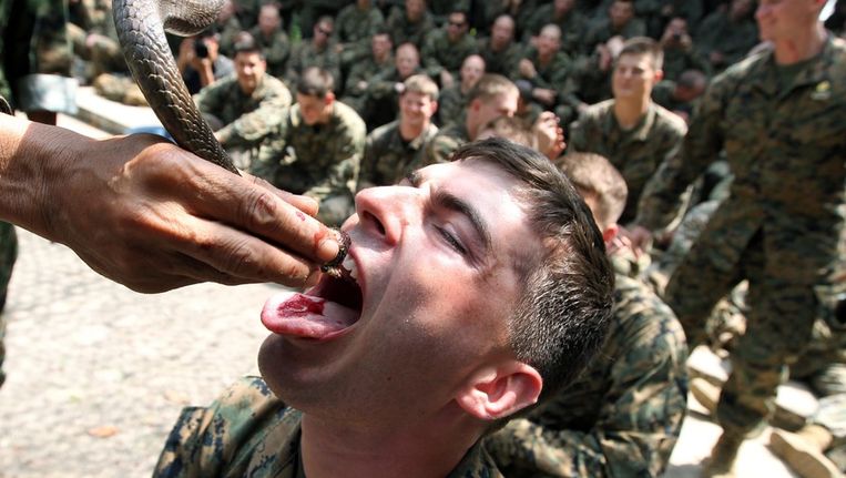 Een Amerikaanse marinier drinkt het bloed van een cobra. © EPA Beeld 