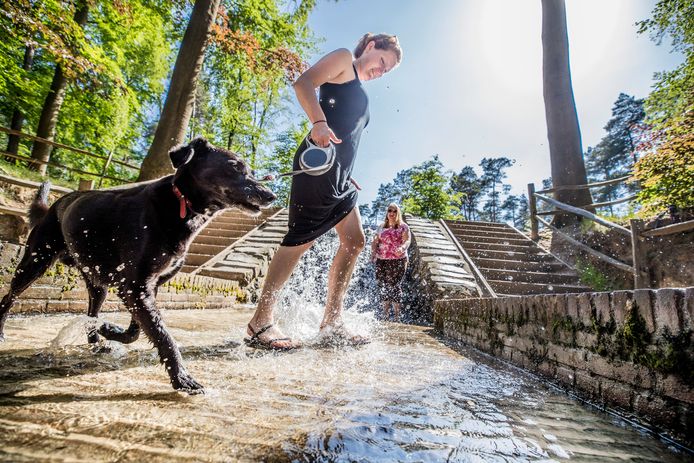 De Apeldoorners Sylvia van der Veen (voorgrond),   hond Mayros en Liselotte Nagelhout (achtergrond) zoeken verkoeling bij de Loenense waterval.