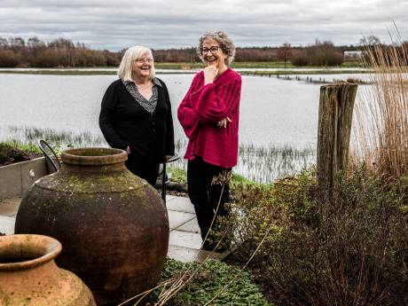 Romantiek en drama in Hapert rond witte ganzen Hans en Guus