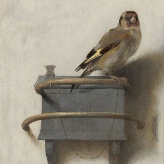 Birds is a great exhibition, but the wunderkammer presentation takes some getting used to