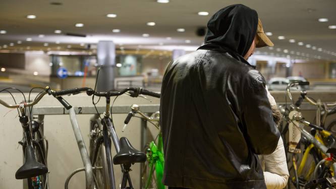 Man steelt fiets in parking onder Koningin Astridplein
