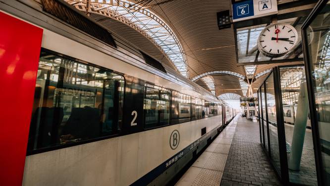 Verwarde man van trein gehaald na foute melding over steekpartij