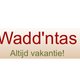 Vrolijke, vrouwelijke handtassen