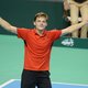 David Goffin zakt naar 17e plaats op ATP-ranking
