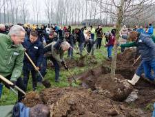 Mijlpaal voor ARK: de honderdduizendste boom wordt geplant in het Groene Woud