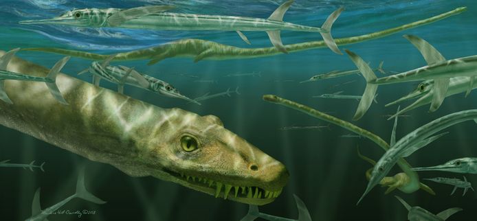 Een illustratiebeeld van de Dinocephalosaurus orientalis.