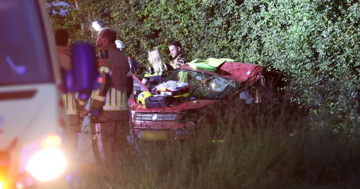 Auto slaat over de kop en knalt tegen boom bij Nagele, een inzittende zwaargewond