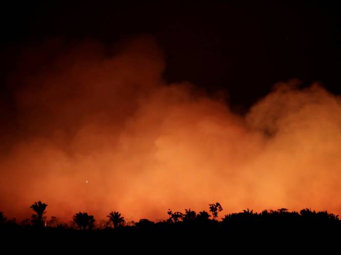 De 'longen van de wereld' staan in brand: Bolsonaro overweegt leger in te zetten tegen vuurzee in Amazonewoud