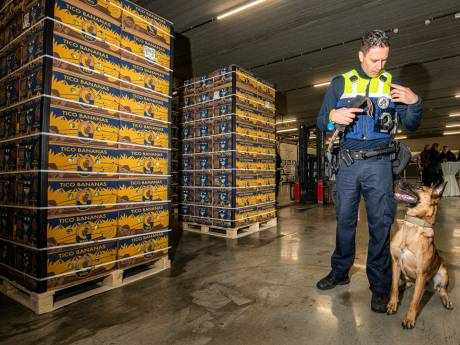 Voortvluchtige ‘Bolle Jos’ in België vervolgd voor cocaïnesmokkel