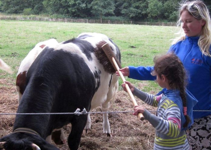 De Doe-boerderij in het Rivierenhof in Deurne.