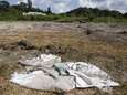 Mexicaanse ‘gruwelput’: resten van zeker 44 mensen gevonden in 119 tassen 