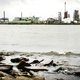 Volkskrant Ochtend: Omgeving Chemours blijkt sterk vervuild | Krachtige aardbeving Turkse kust: 2 doden, 120 gewonden